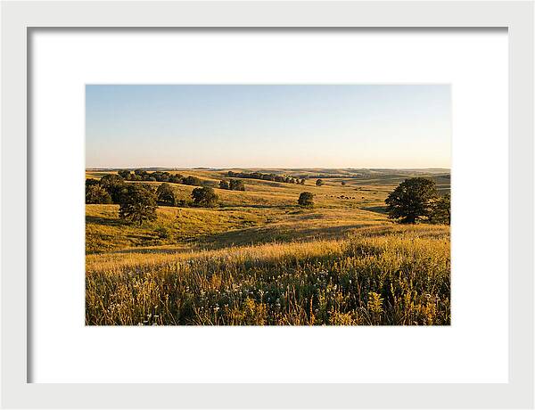 Whispers Of The Tallgrass Prairie
