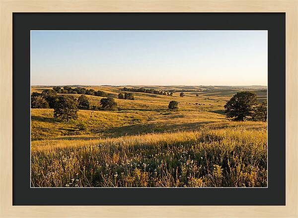Whispers Of The Tallgrass Prairie