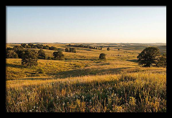 Whispers Of The Tallgrass Prairie