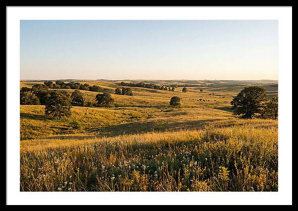 Whispers Of The Tallgrass Prairie