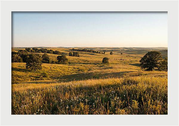 Whispers Of The Tallgrass Prairie