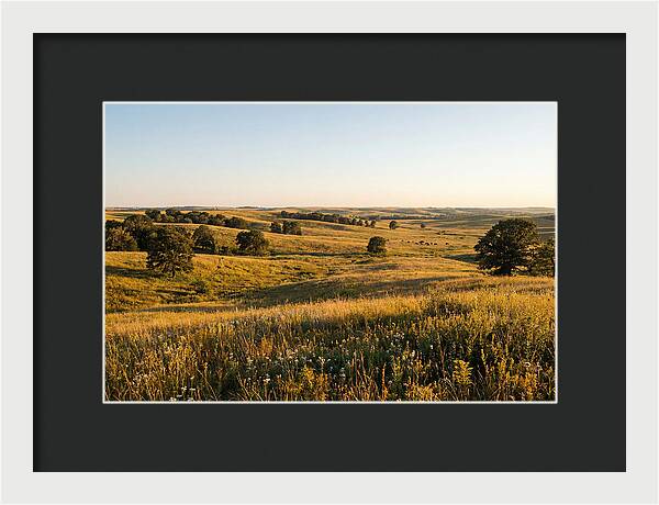 Whispers Of The Tallgrass Prairie
