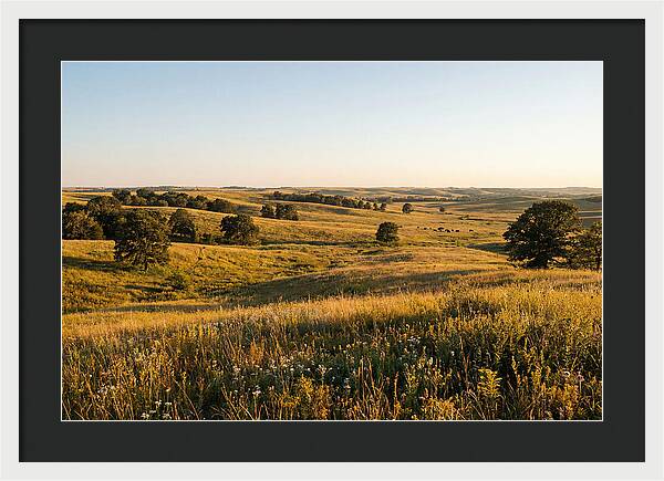 Whispers Of The Tallgrass Prairie