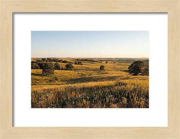 Whispers Of The Tallgrass Prairie