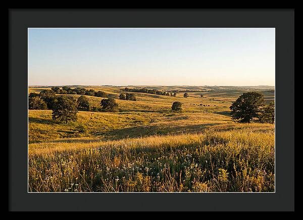 Whispers Of The Tallgrass Prairie