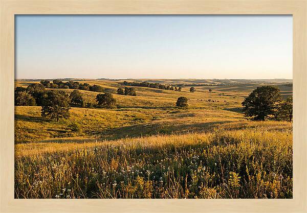 Whispers Of The Tallgrass Prairie