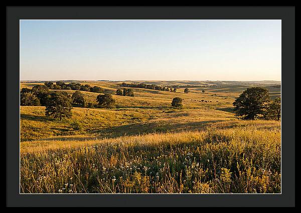 Whispers Of The Tallgrass Prairie