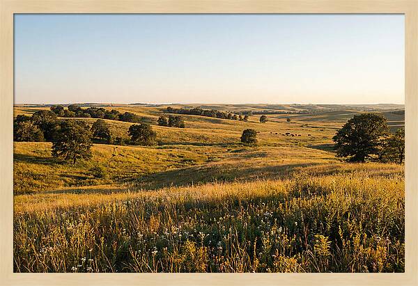 Whispers Of The Tallgrass Prairie