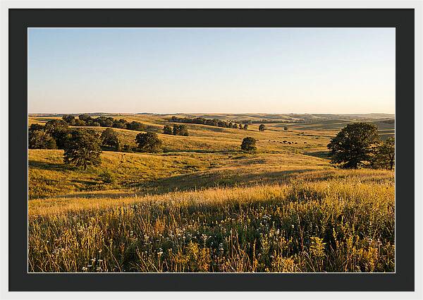 Whispers Of The Tallgrass Prairie