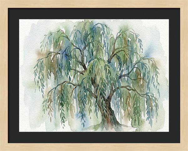 Whispers Of The Willow Tree