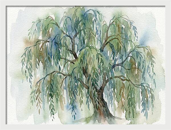Whispers Of The Willow Tree