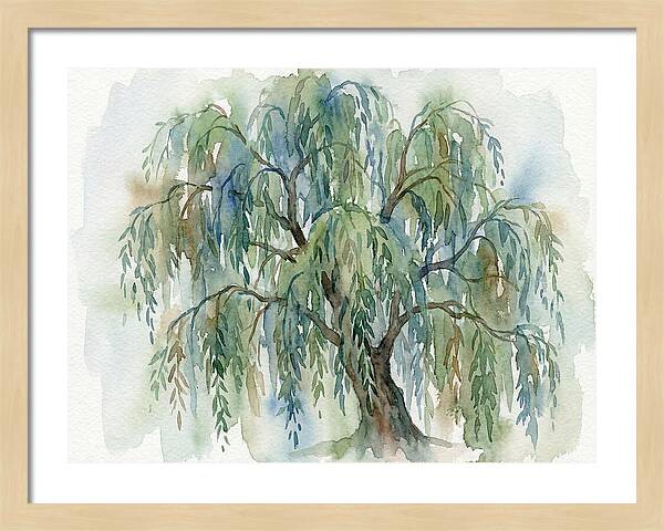 Whispers Of The Willow Tree