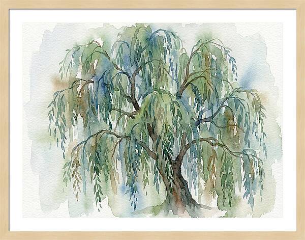 Whispers Of The Willow Tree