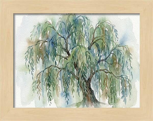 Whispers Of The Willow Tree