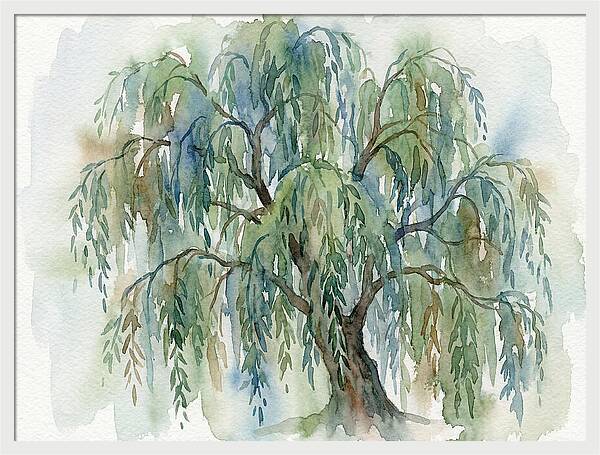 Whispers Of The Willow Tree