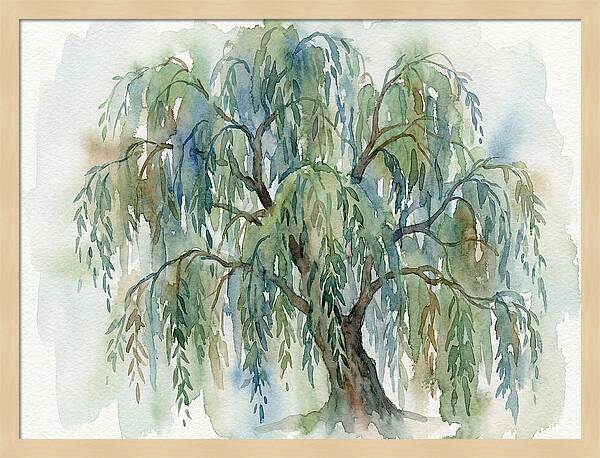 Whispers Of The Willow Tree