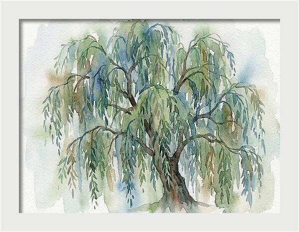Whispers Of The Willow Tree