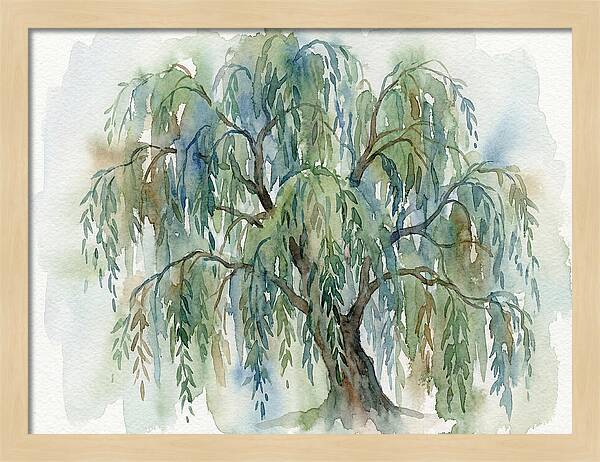 Whispers Of The Willow Tree