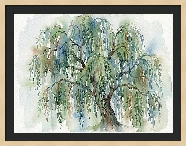 Whispers Of The Willow Tree