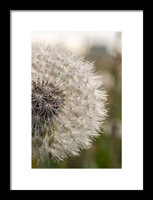 Whispers Of The Wind