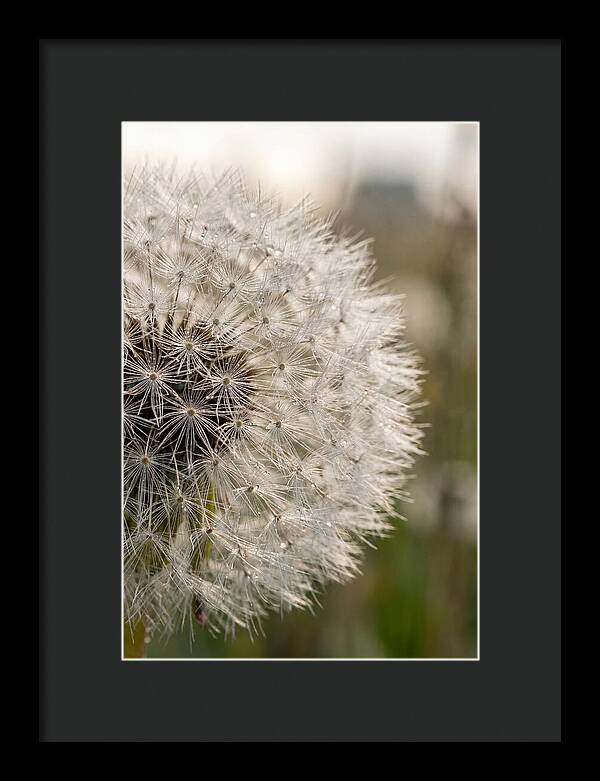 Whispers Of The Wind