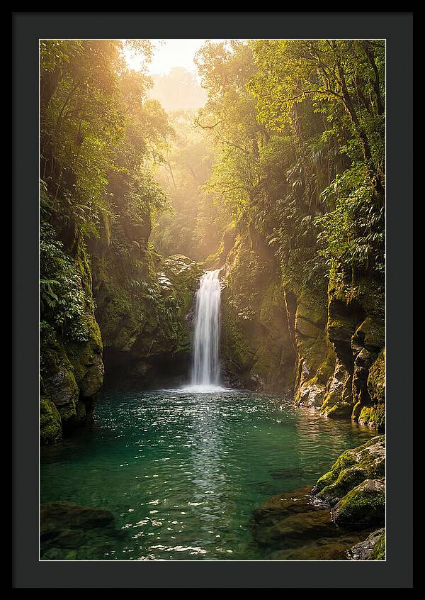 Whispers Of Tranquility