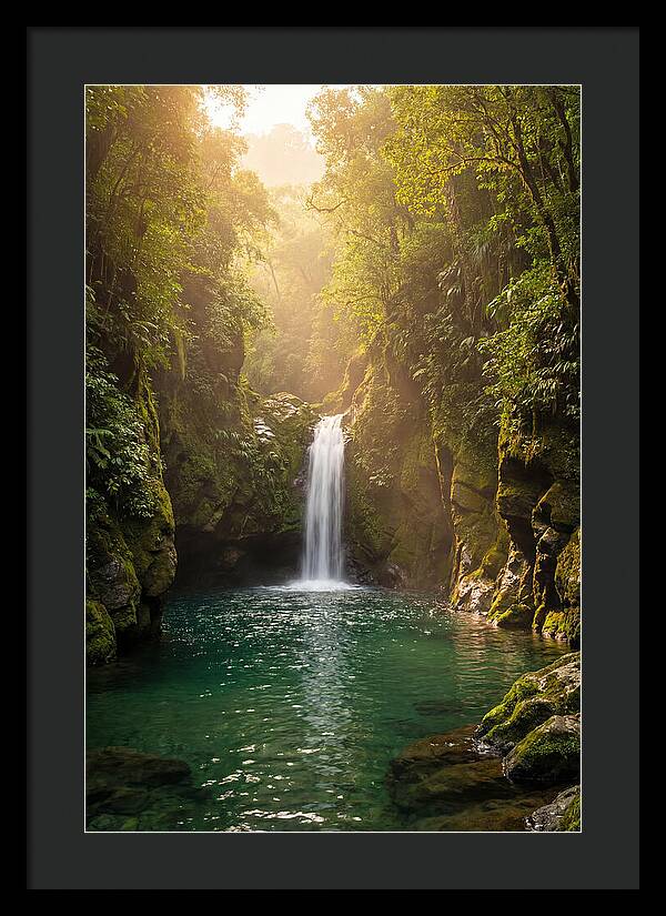 Whispers Of Tranquility