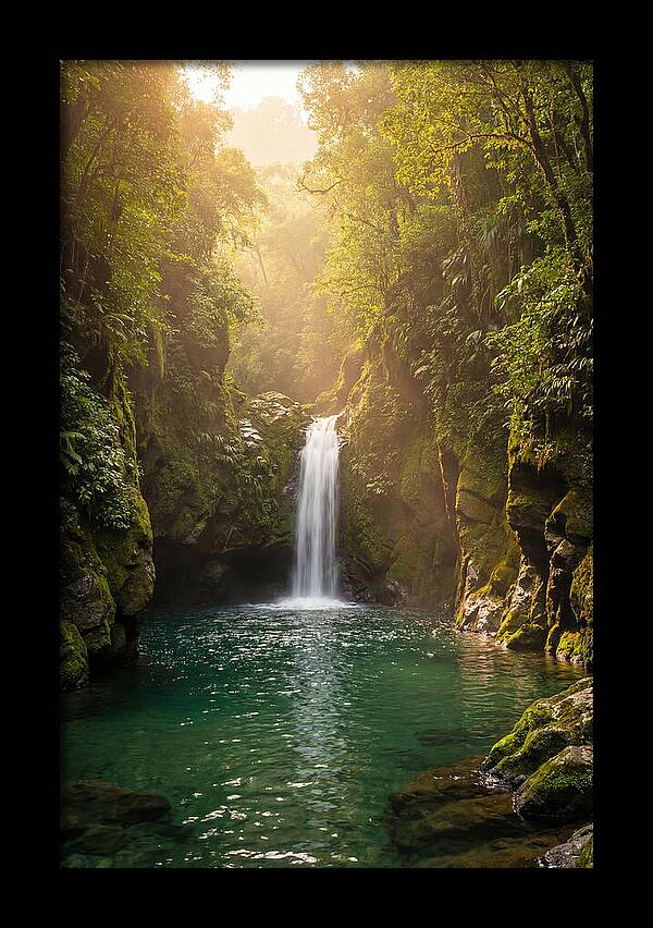 Whispers Of Tranquility