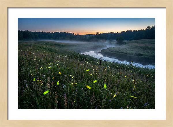 Whispers Of Twilight Glow