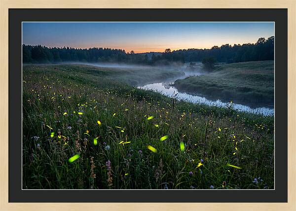 Whispers Of Twilight Glow