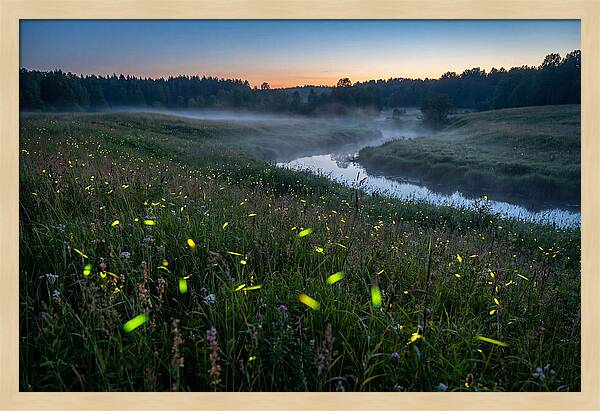 Whispers Of Twilight Glow