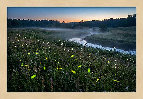 Whispers Of Twilight Glow