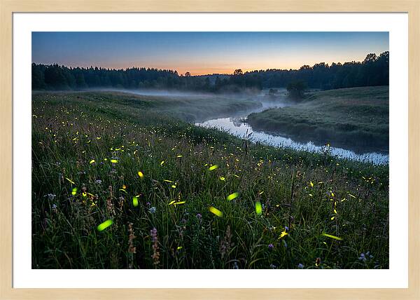 Whispers Of Twilight Glow