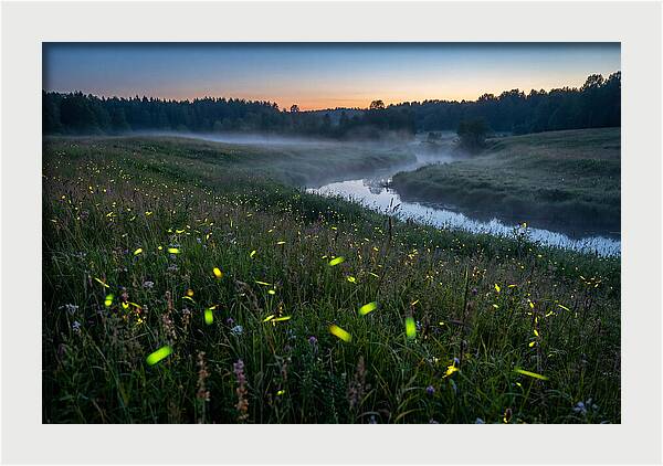 Whispers Of Twilight Glow