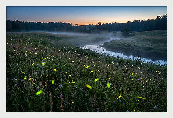 Whispers Of Twilight Glow