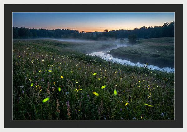 Whispers Of Twilight Glow