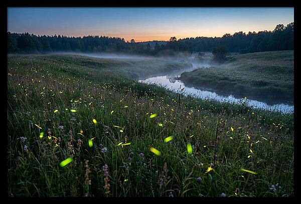 Whispers Of Twilight Glow