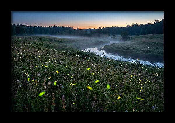 Whispers Of Twilight Glow