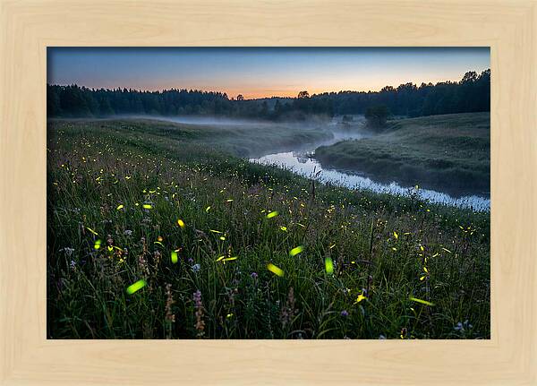 Whispers Of Twilight Glow