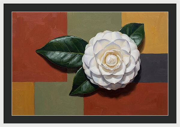 White Camellia On Glossy Leaf