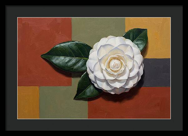 White Camellia On Glossy Leaf