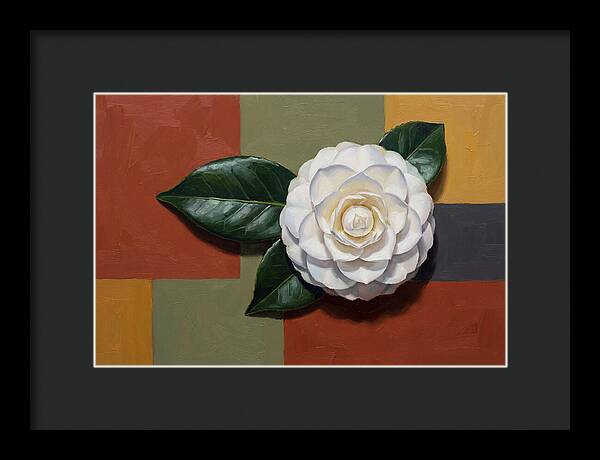 White Camellia On Glossy Leaf