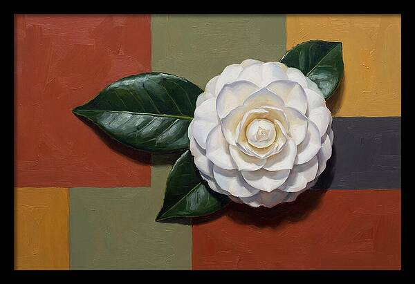 White Camellia On Glossy Leaf