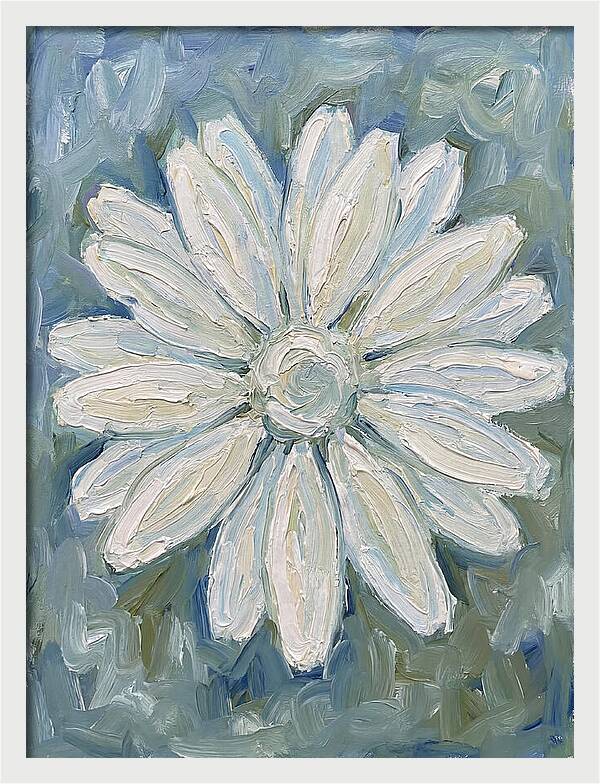 White Daisy Blossom