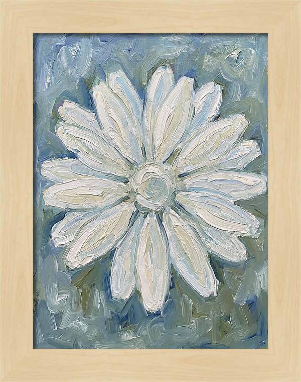 White Daisy Blossom