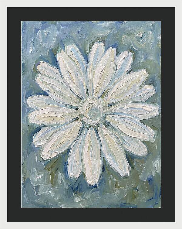 White Daisy Blossom