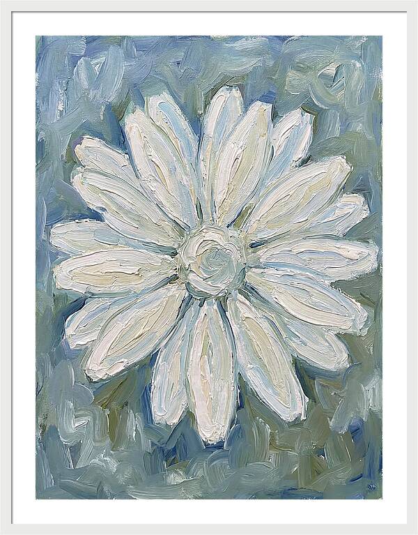 White Daisy Blossom