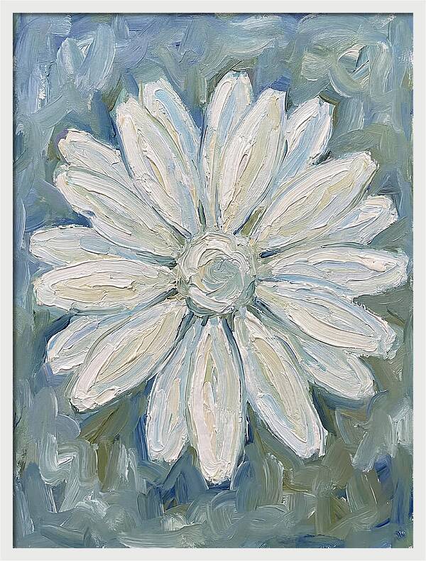 White Daisy Blossom