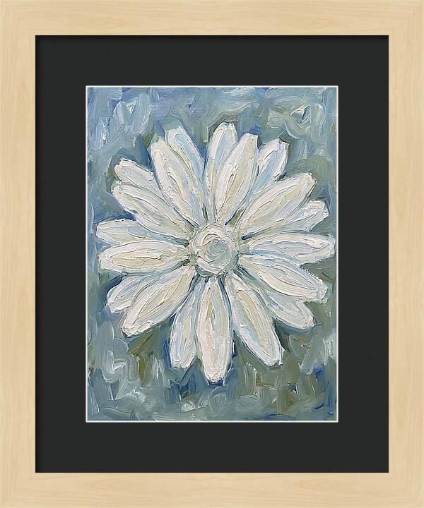 White Daisy Blossom