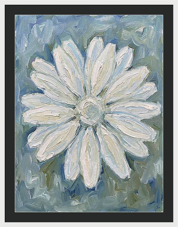 White Daisy Blossom